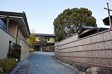 《刺客信条：影》女主内衣被吐槽 就像是尿裤